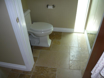 Toilet Leak: Mold disinfectant Benefect applied to structural framing